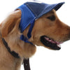The Ultimate Guide to Pet Headwear: Stylish Choices for Your Furry Friend