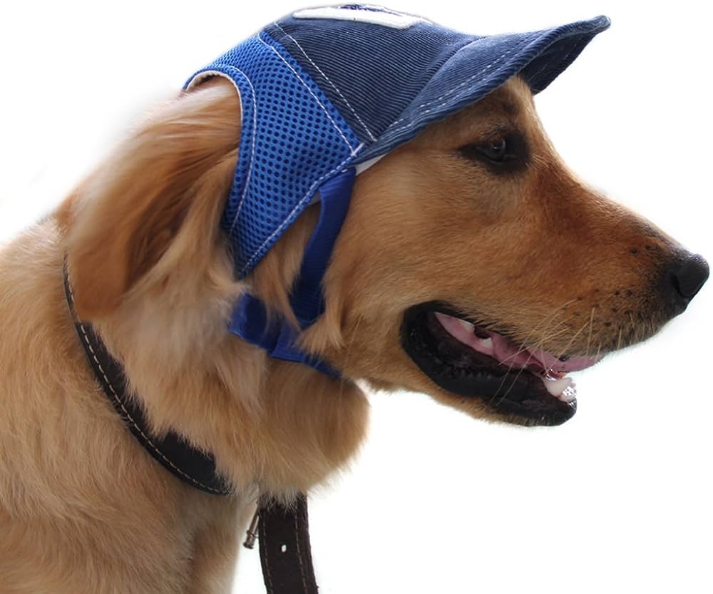 The Ultimate Guide to Pet Headwear: Stylish Choices for Your Furry Friend