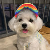 PawFiesta SunGuard Cap: Adjustable Outdoor Style for Small and Medium Pooches