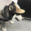 Pawfect Summer Shade Cap: Stylish Sun Protection for Dogs of All Sizes!