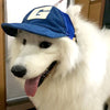 Western Woofs: Stylish Dog Baseball Cap for Large Breeds!