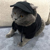 PawFiesta SunGuard Cap: Adjustable Outdoor Style for Small and Medium Pooches