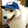 PawPal Adventure Cap: Cool Comfort and Style for Every Pup!